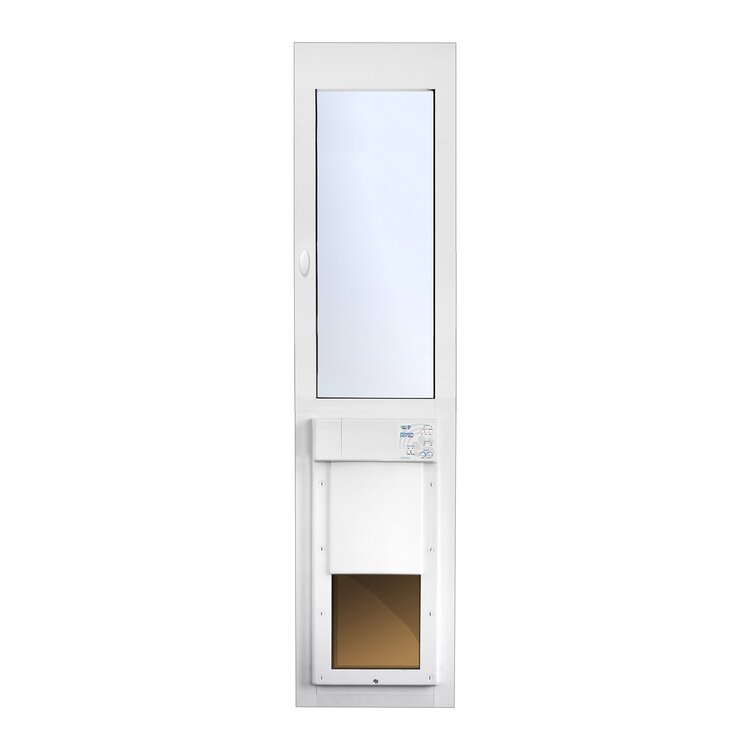 Large dog door for sliding outlet door